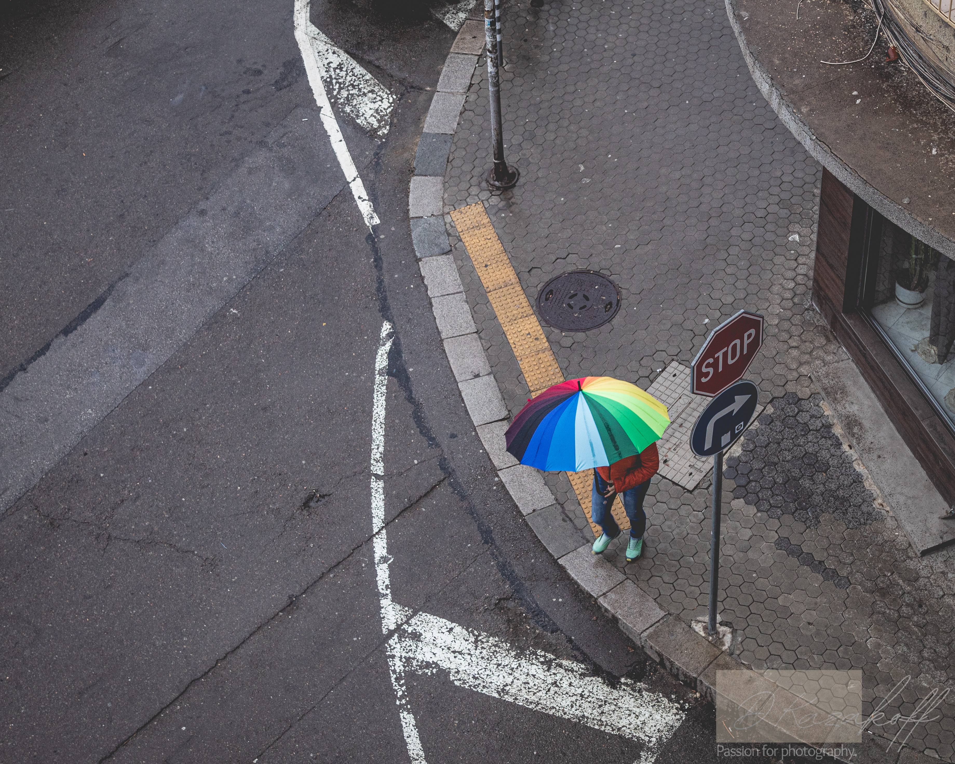 Umbrella
