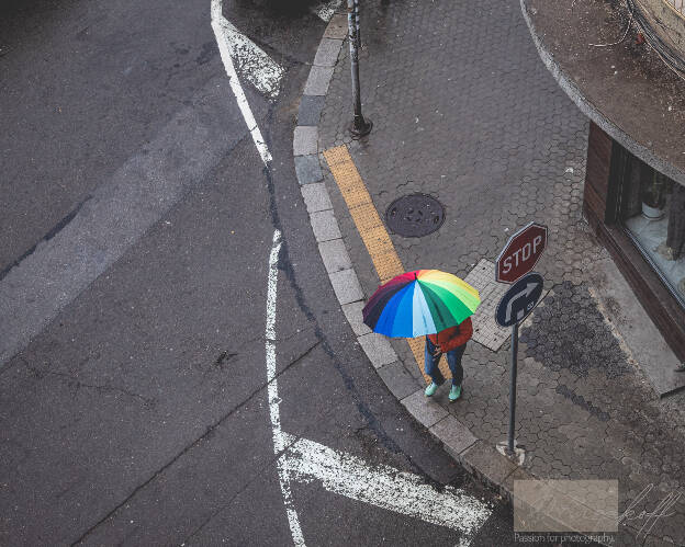 Umbrella