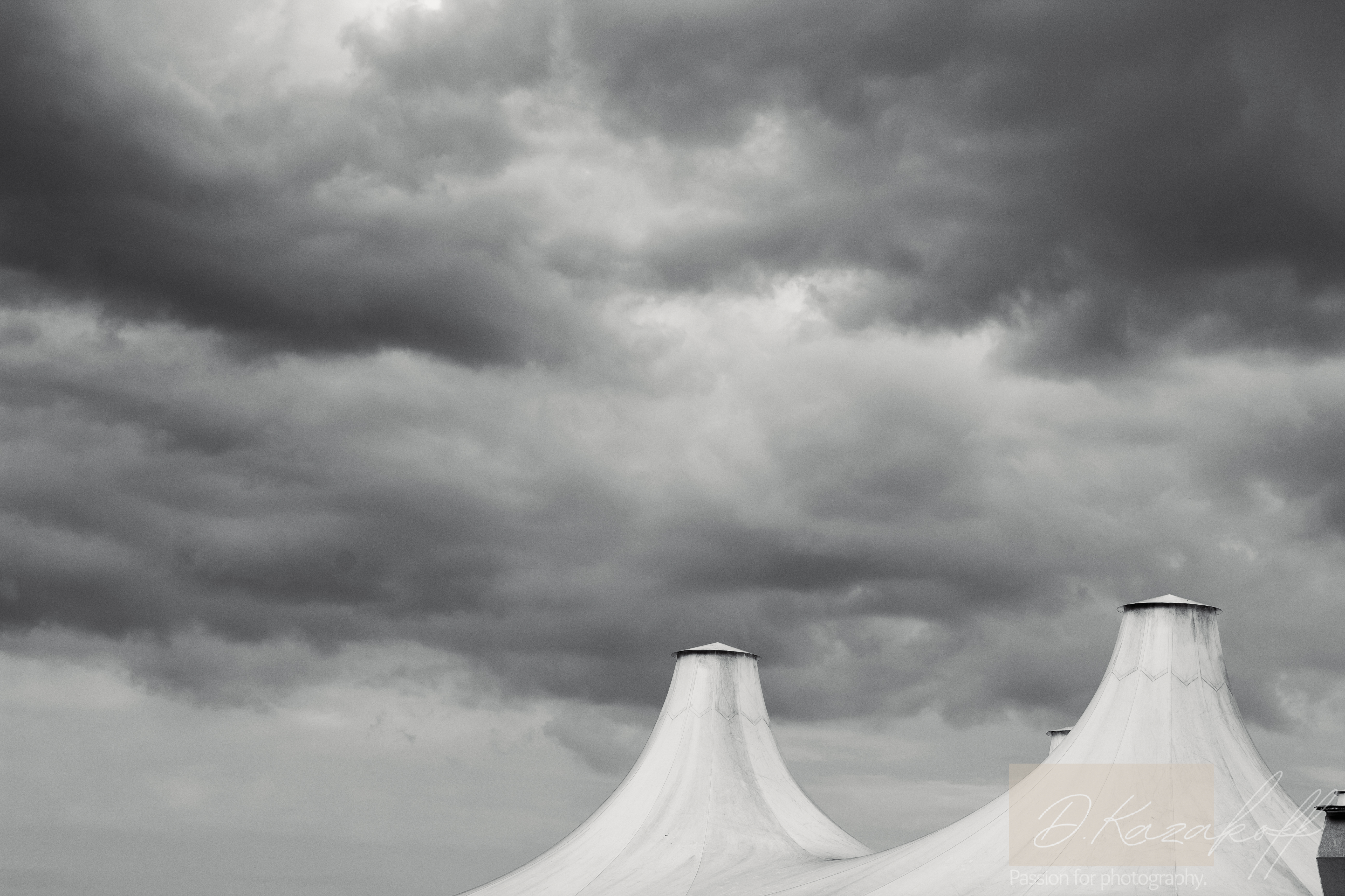 Circus